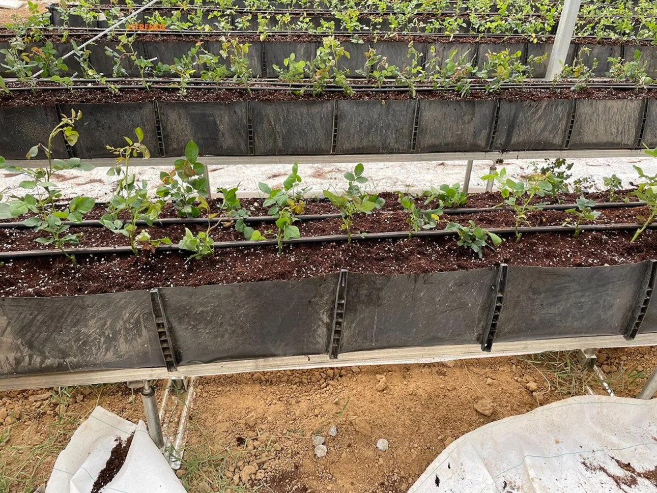 Vertical Farm Greenhouse Indoor Planting Trough