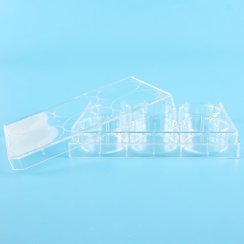 Factory Outlets Lab Disposables Servicebio Pure Sterilized Sterile Stackable Cell Culture Plate