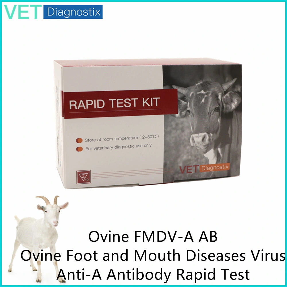 Fmdv Ovine Foot and Mouth Diseases Virus Anti-a Antibody Diagnostic Test Kit