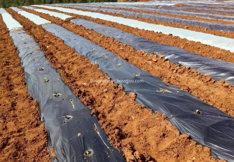 Agricultural Transparent PE Wrap Poly Mulch Film in Black