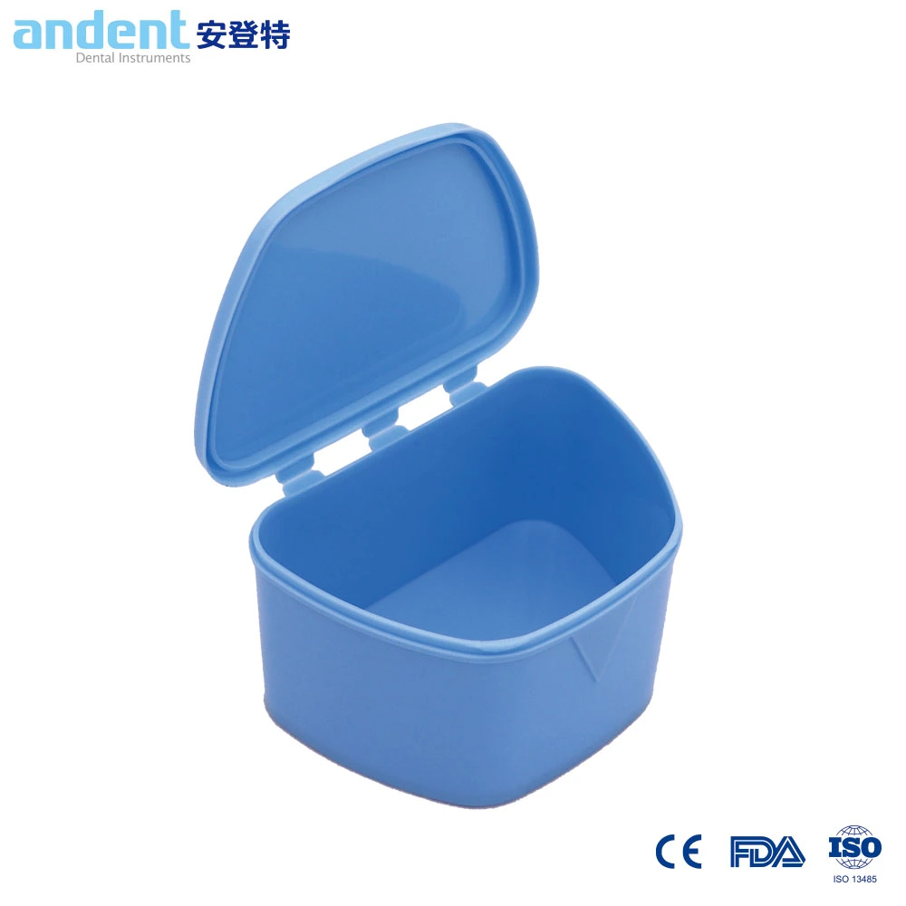 PP Dental Case Denture Storage Container Box