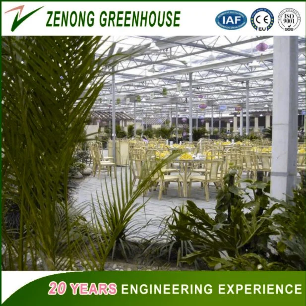 Commercial PC Sheet Greenhouse with Good Quality Price Hydroponics System