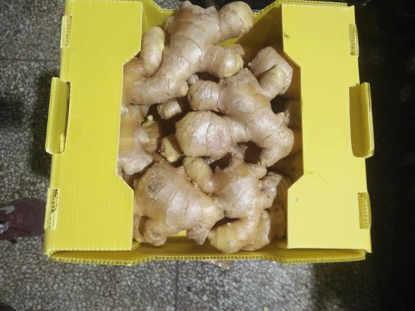 High quality/High cost performance  Dried Ginger Market Price