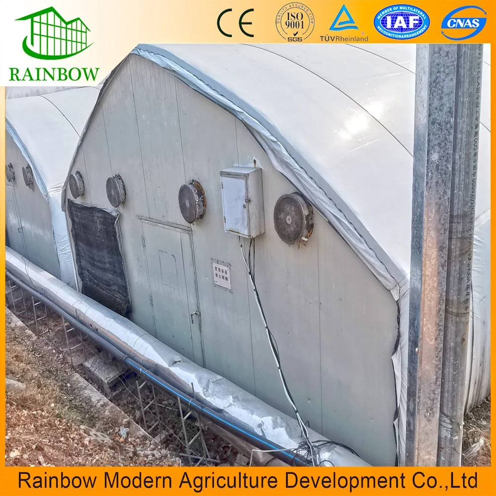 Single Span Tunnel Type Film Blackout Light Deprivation Greenhouse for Mushroom and Medical Plants with LED Grow Lights