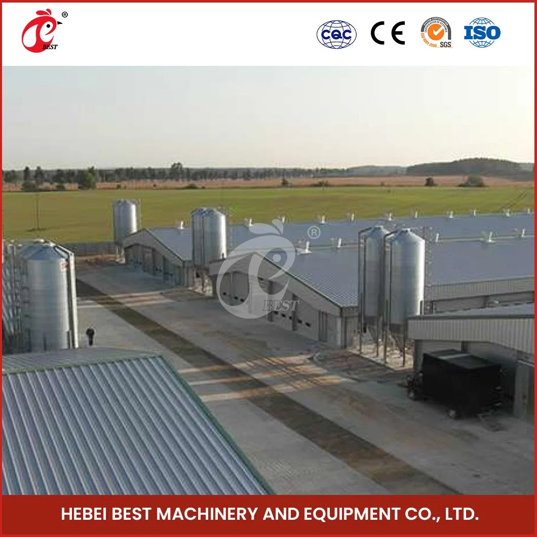 Bestchickencage Steel Poultry House China Structure Steel Chicken Houses Manufacturing Automatic Poultry Chicken Farmhouse Wholesale/Supplier Light Steel Poultry House