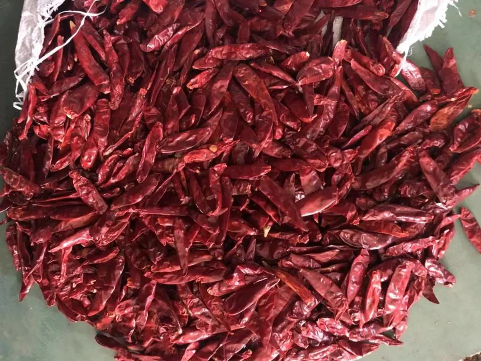 Dried Red Chilli Whole & Crushed& Ring & Powder