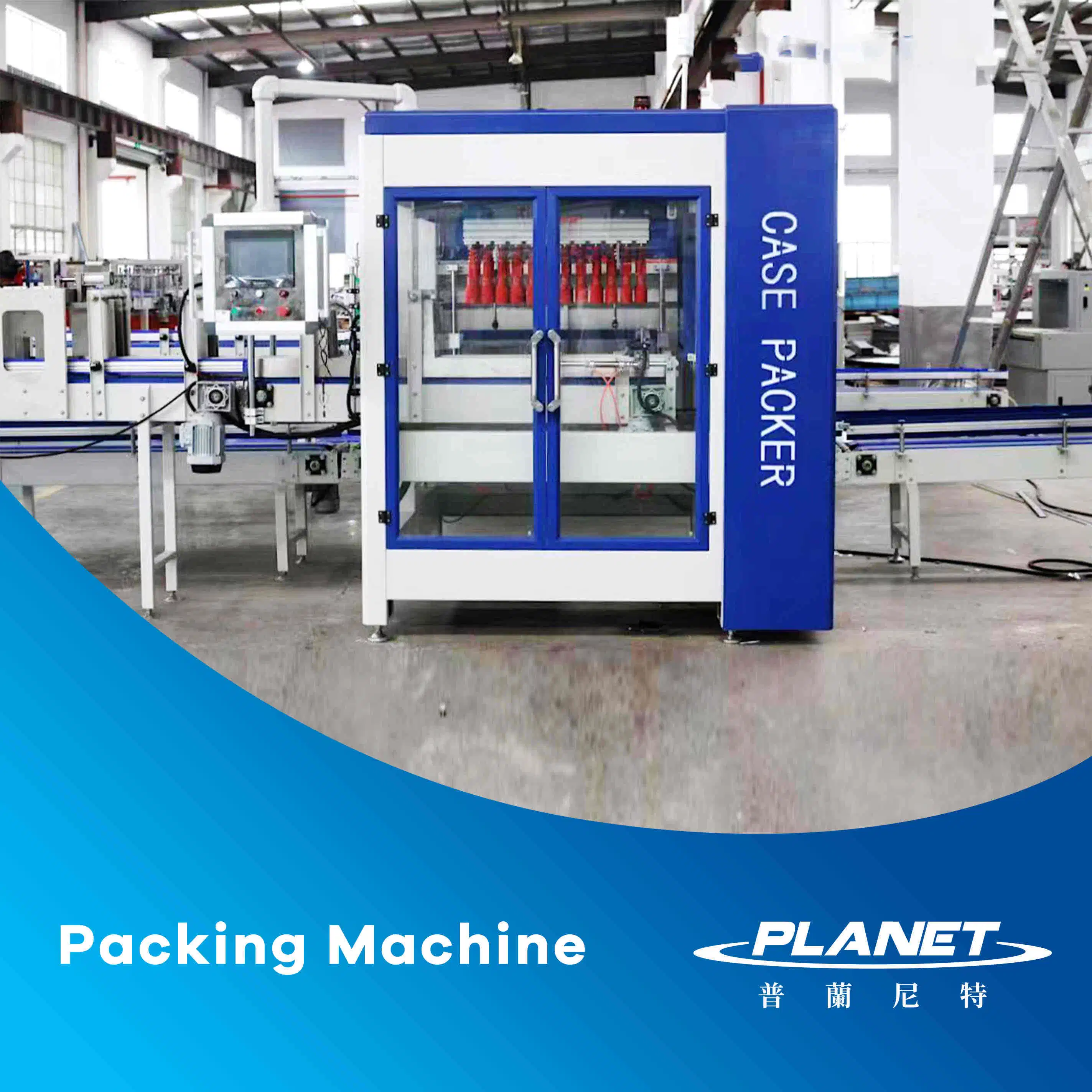 Auto Bag Pack Into Paper Box Carton Case Packing Machine