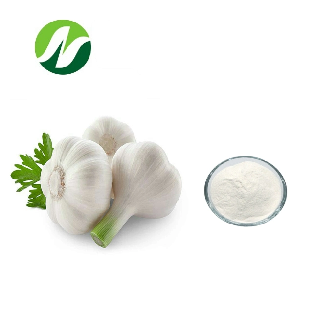 High Quality Best Selling 1-5% Allicin/Alliin Garlic Extract