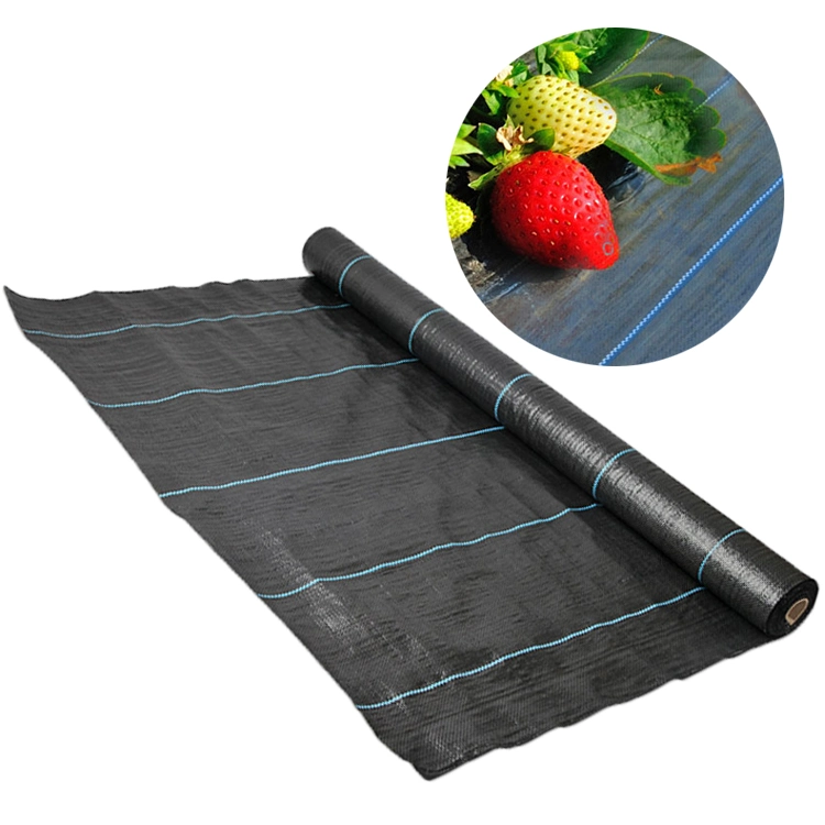 Garden Weed Control Weed Mat Agricultural Ground Cover 2 X 100