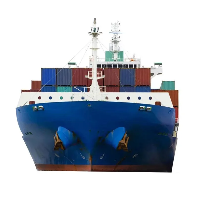 Ocean Freight/Shipping Service/ Logistics / Shipping Forwarder From China to Lazaro Cardenas