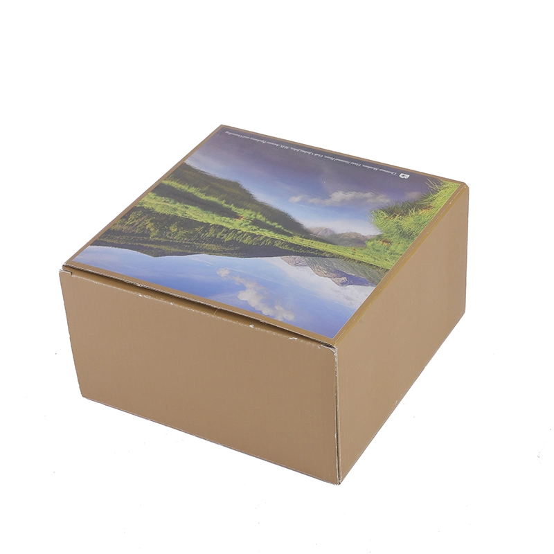 Accept Custom Order and Paper Material Pulp Paper Meal Box