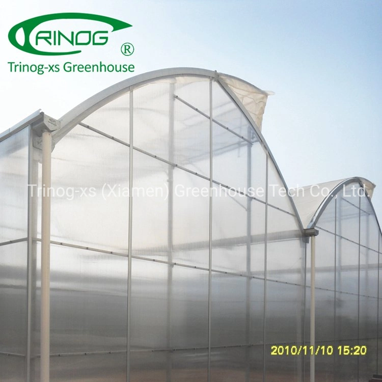 Trinog Greenhouse commercial farm used plastic film agricultural greenhouse for hydroponic farm