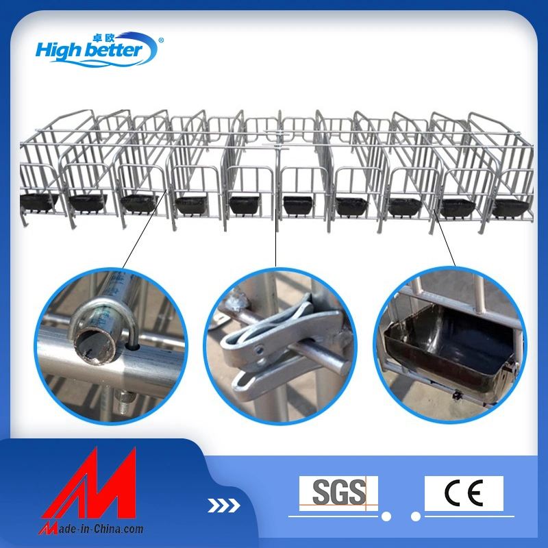 Factory Price Slat Floor and Hot DIP Galvanized Pipe Pig Farrowing Cage Pig Equipment