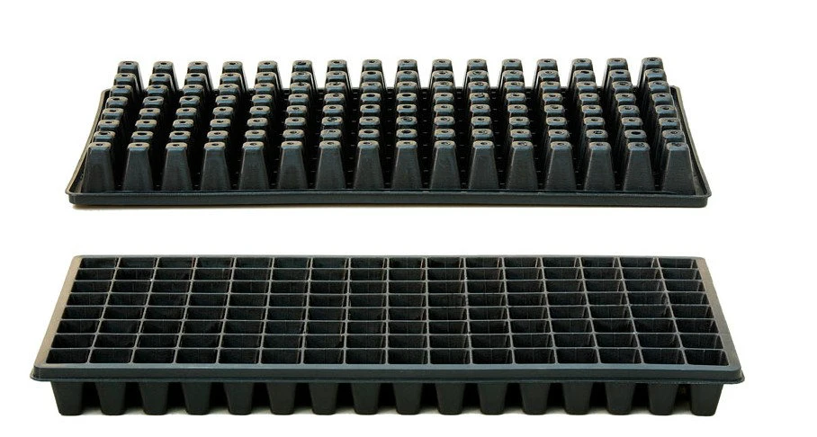 Polystyrene and Plastic Seedling Trays for Nursery Business in Chile