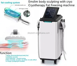 High-Intensity músculo electromagnética la quema de grasa de escultura de cuerpo delgado edificio muscular crioterapia crioterapia máquina EMS