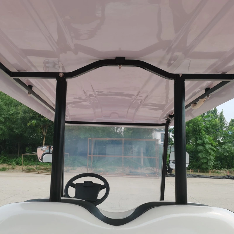 Raysince ce fret approuvé voiturette de golf de bas prix de golf Voiture électrique avec six sièges