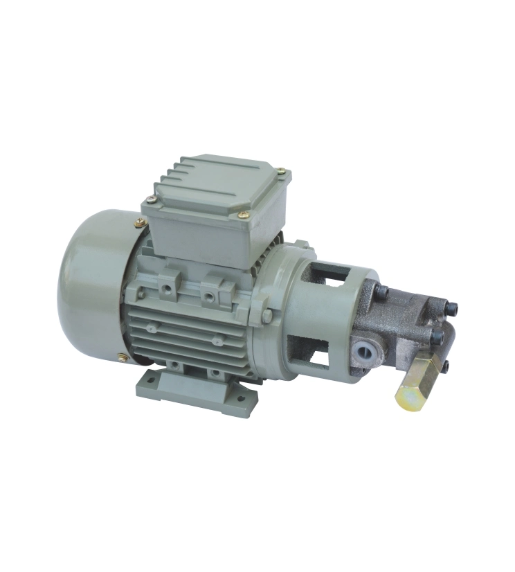 Iron Shell Direct Link Motor Direct Plug Motor Pump Zubehör Für Drehmaschinen-Schmierteile