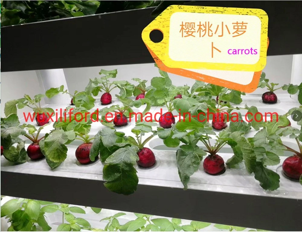 Hydroponics Intelligent Minifarm Soilless Cultivation for Indoor Plant Growth