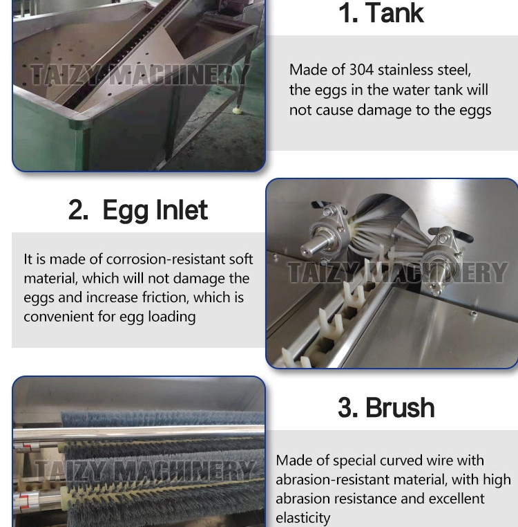 Commercial Egg Washing Drying Sterilizing Equipment Brush Type Egg Cleaning Machine