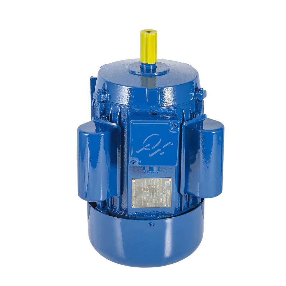 Yc Ycl Single Phase Motor, Motor Monofasico, 1HP 2HP 3HP 4HP 5.5HP 110/220V AC Yl Series Two-Value Capacitor Motor