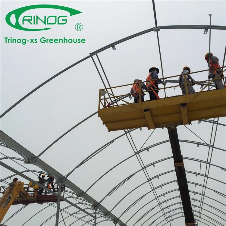 Wholesale China Factory Price Manufacture Multi-span Film Greenhouse for Seeding Planting