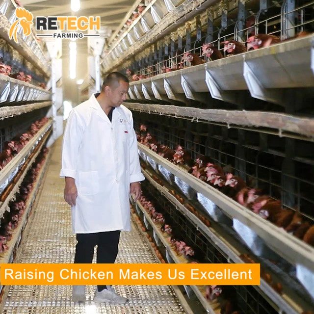 RETECH Avicultura automática equipos agrícolas Chicken Layer batería jaula