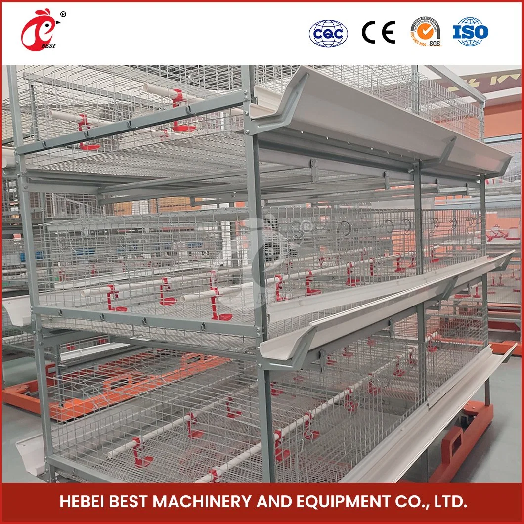 Bestchickencage China Range Chicken Coop Suppliers H Frame Automatic Boriler Cages Sample Available Plenty Space Features Chicken Carry Cage