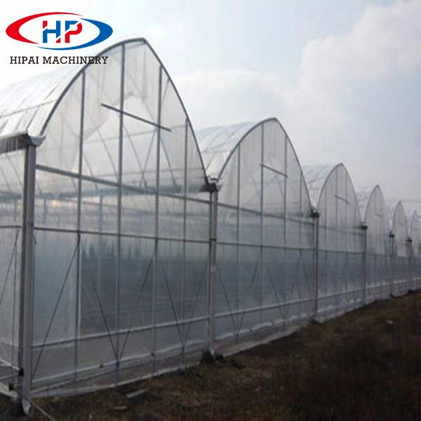 Film Greenhouse Building Factory Vegetable Greenhouse