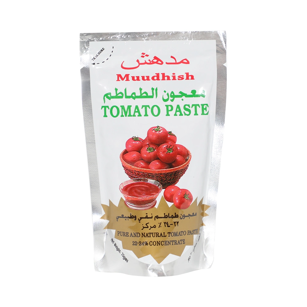 Alimentos al por mayor Ketchup Gino fácil de abrir concentrado en conserva Tomate Pasta Precio 70g Oman normas, 100% pureza Muudhish