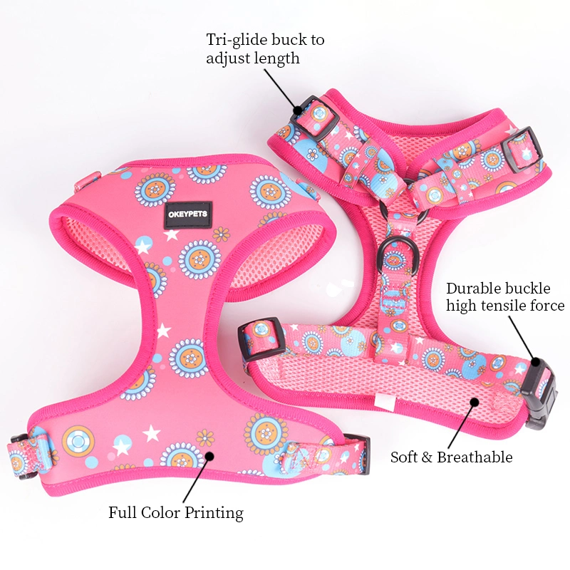 Custom Design Durable Reflective Dog Collar Leash Harness Set