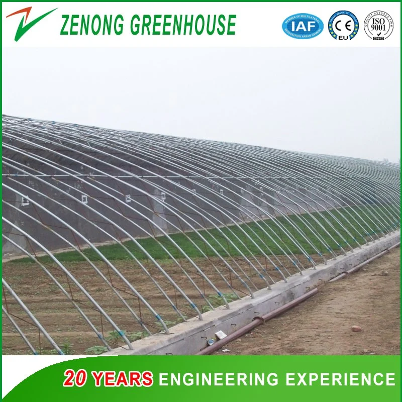 Good Quality Green House with Earthen Walls for Winter Vegetable Planting