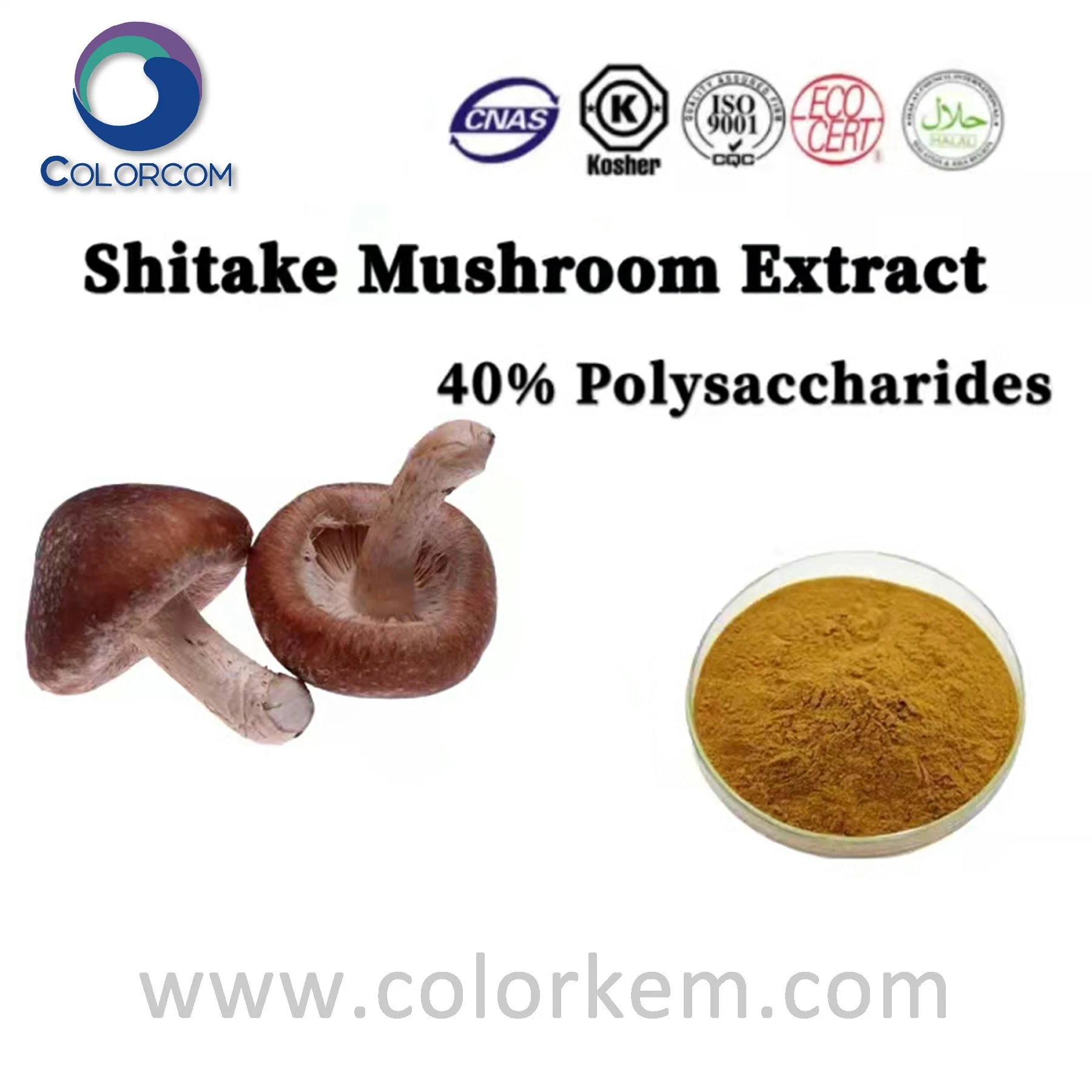 Shitake Mushroom Extract polissacárides CAS 37339-90-5 amostra livre