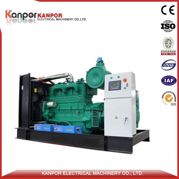 Cummins 25kW Propan Gas Power Generator Set Genset