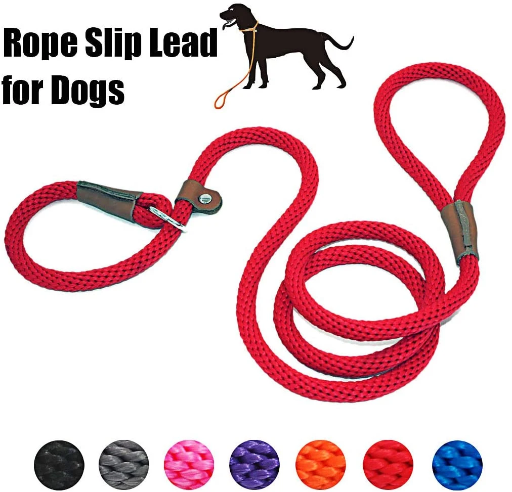 Dog Leash Slip Rope Lead Leash Strong Heavy Duty Braided Rope No Pull Training Lead