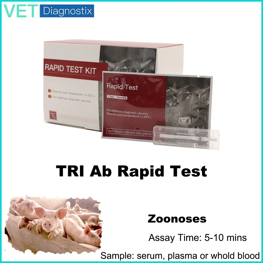 Ветеринарные комплекта для проверки в Trichinella Pig антитела быстрый набор для тестирования