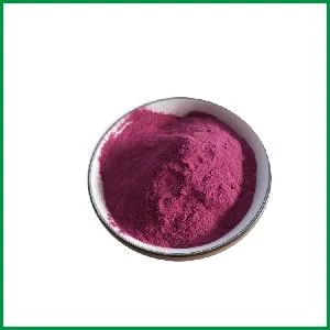 Beet Root Extract 1%-25% Betanin