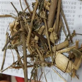 Huang Hua Ren Bulk Herb Medicine Dreid Sida Acuta Leaf Sida rhombifolia für die Aufwärmeabscherung