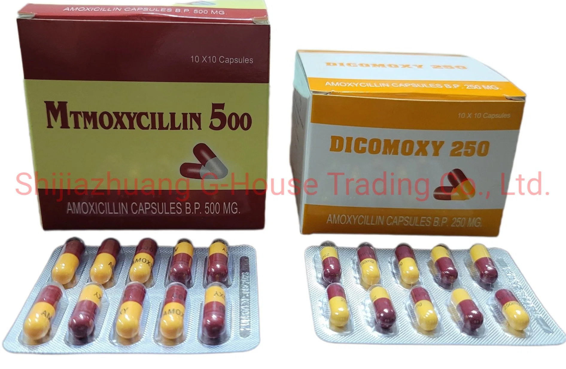 Medizin Amoxicillin Kapsel 500mg&amp;250mg