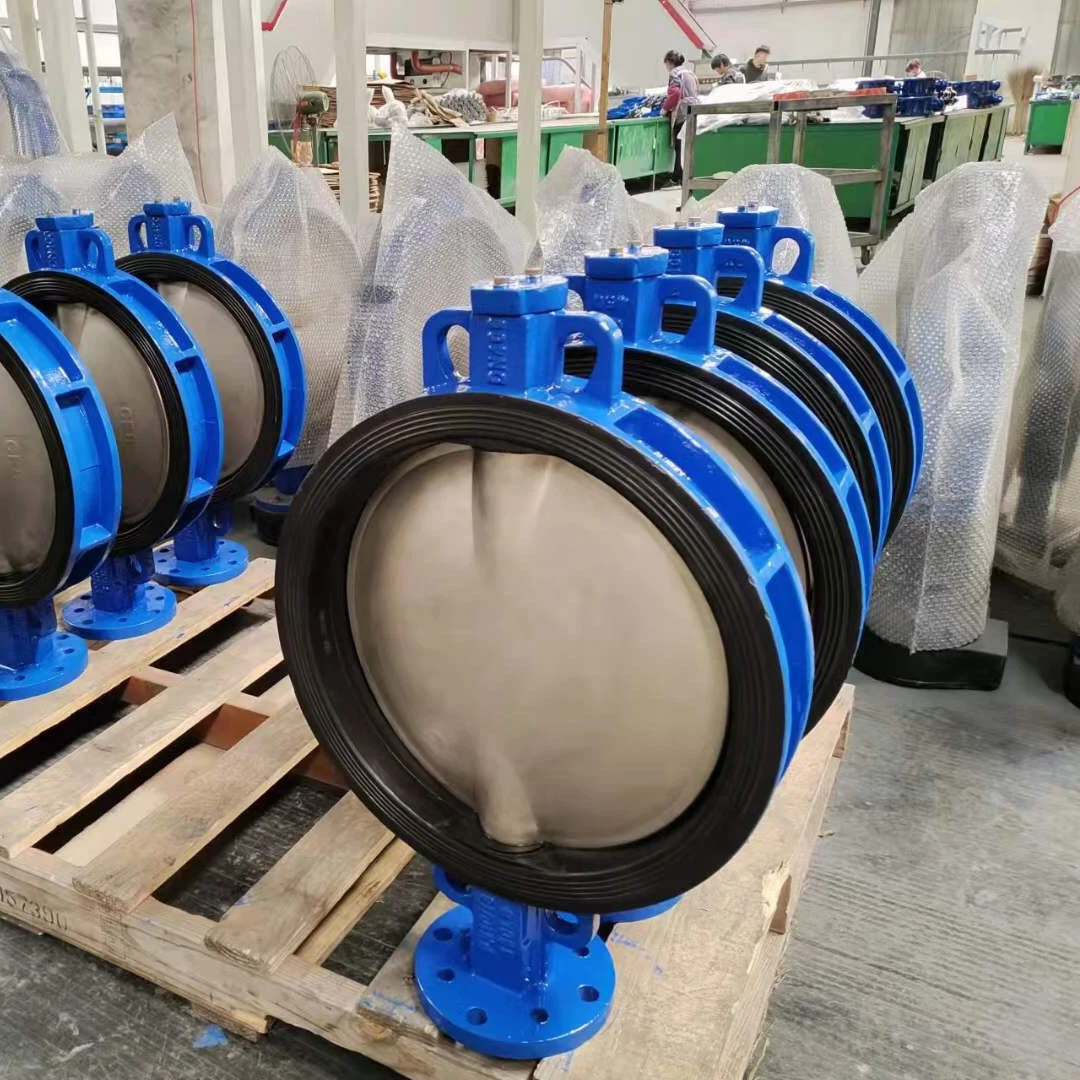 Hand Manual Pn10 Cast Iron Lug Type Manual Butterfly Valves