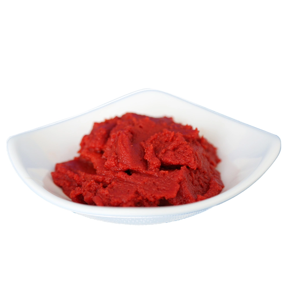 Canned Tomato Paste 70g 210g 400g 2.2kg for Nigeria