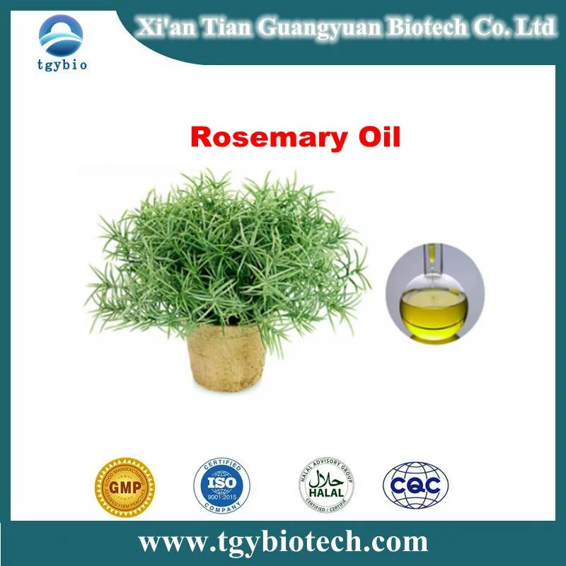 Bulk Food Cosmetics Grade Bulk Rosemary Oil Rosemary Essential Oil