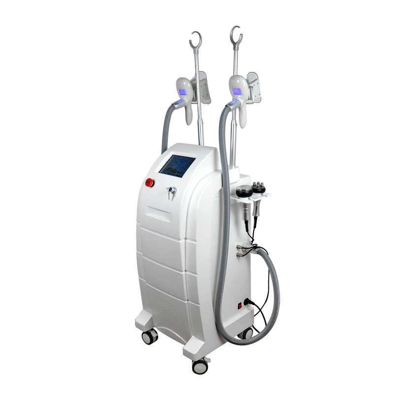 Cavitation RF Cryo Cryolipolysis Beauty Equipment for Body Slimming