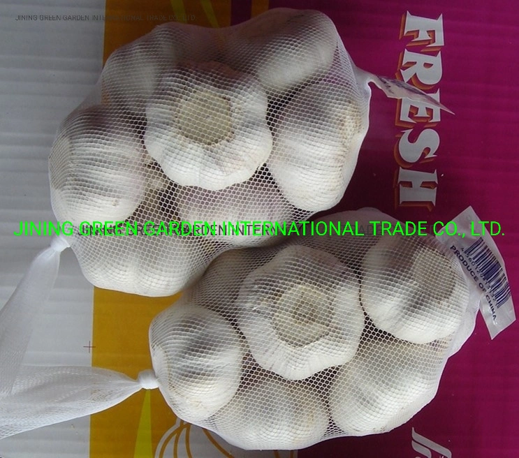 2022 New Crop Fresh Garlic Experience Direct Supply Top Quality Garlic Fresh China Origin Low Price Free Sample 4.5cm,5.0cm,5.5cm,6.0cm,6.5cm, Pure&Normal White