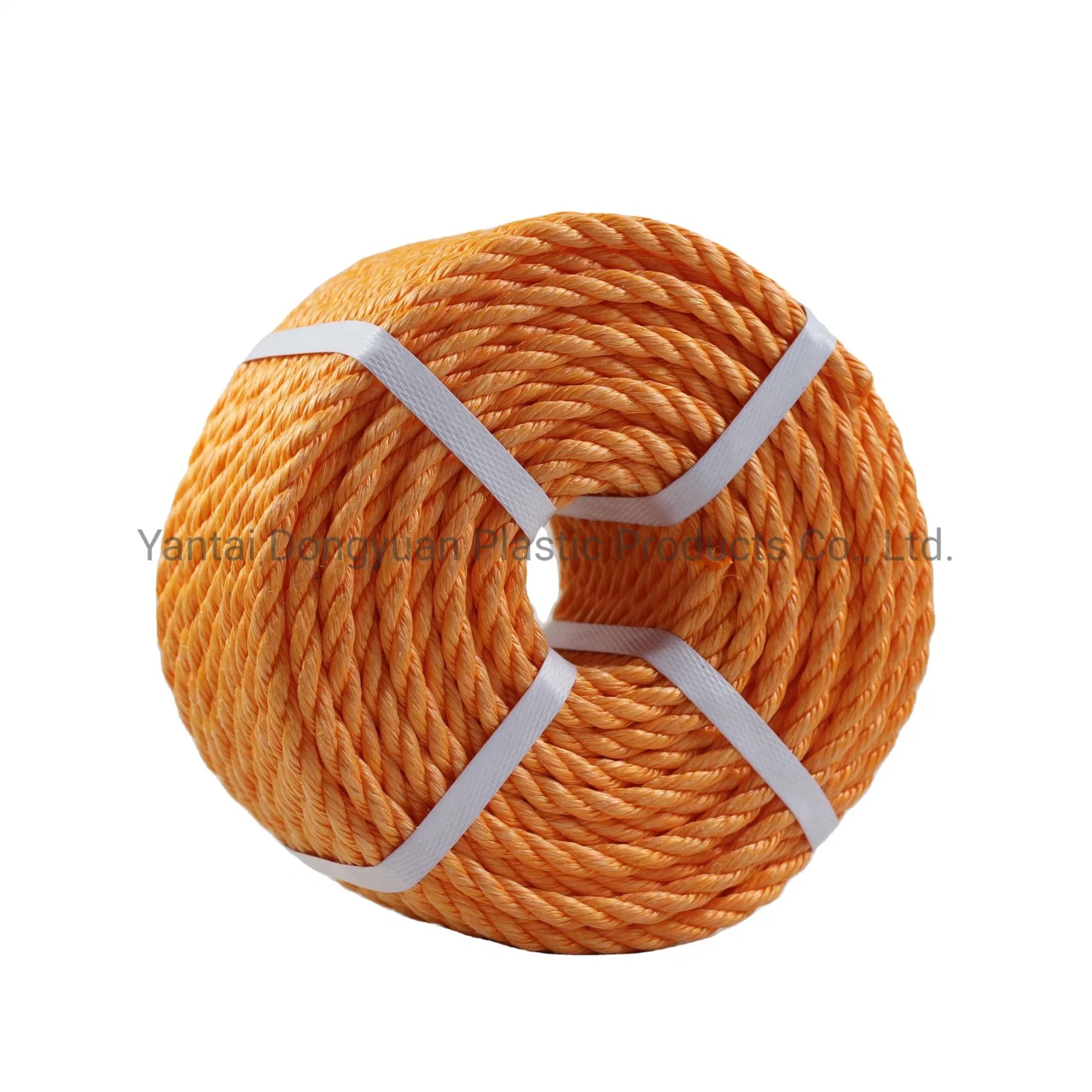 Poly Danline corde 12mm 14mm 16mm 18mm 19mm 20mm 22mm