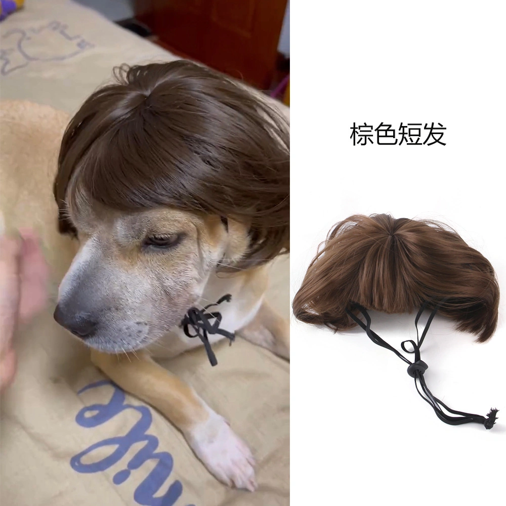 Hairstyle Cat Wigs Dog Wigs Pet Costumes for Party Apparel Cosplay Accessories Funny Head Wear Toy