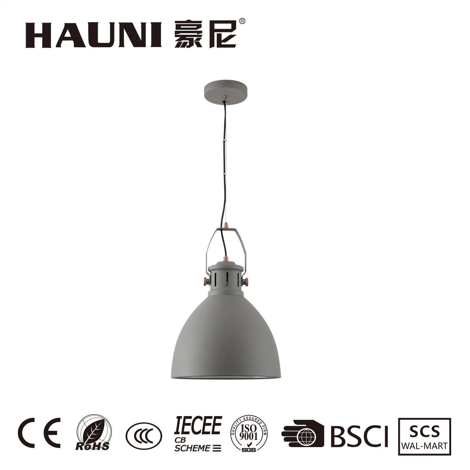 Metal Home Decoration Hanging Lighting Modern Pendant Lamp