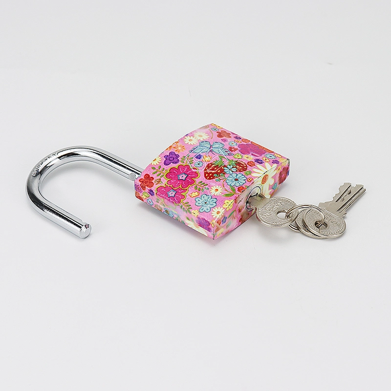 Hardware Tools 20-60mm Safety Protection Solid Keys Color Printing Square Iron Padlock