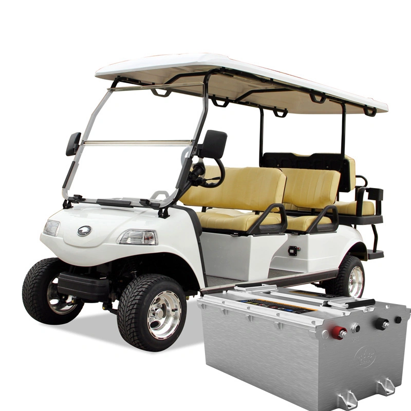 Wholesales Supply OEM Electric Golf Cart Buggy Car 6 Seater 48V for Sale