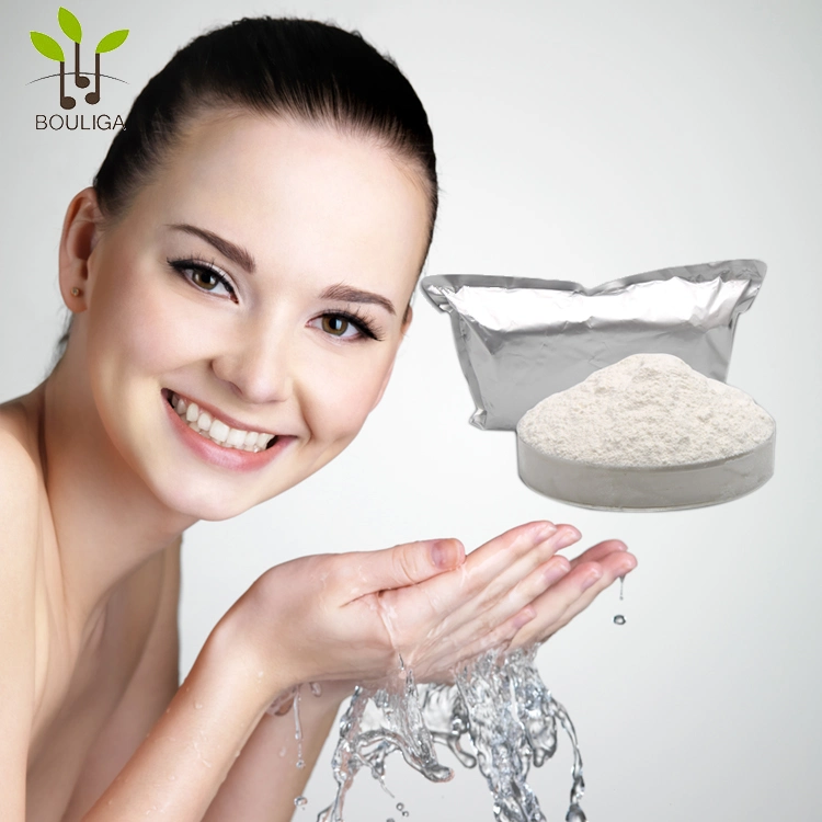 Fillers Injection Grade Hyaluronic Acid Powder Microbial Fermentation Sodium Hyaluronate