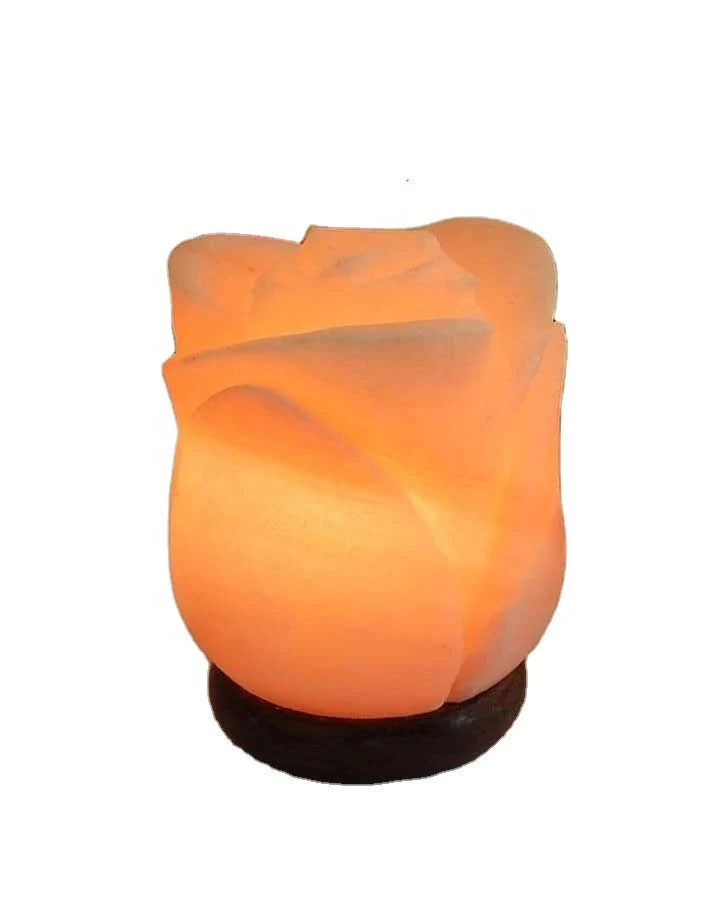 Crystal Pink Natural Handicraft Dimmer Switch Rock Original Quality Himalayan Salt Lamps